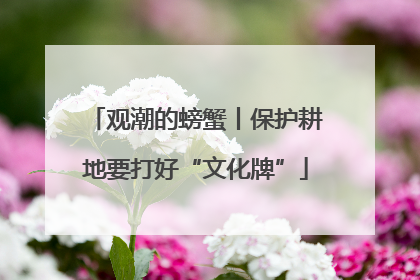 观潮的螃蟹丨保护耕地要打好“文化牌”