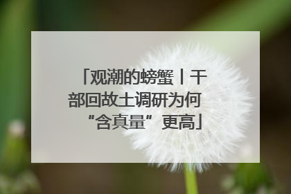 观潮的螃蟹丨干部回故土调研为何“含真量”更高