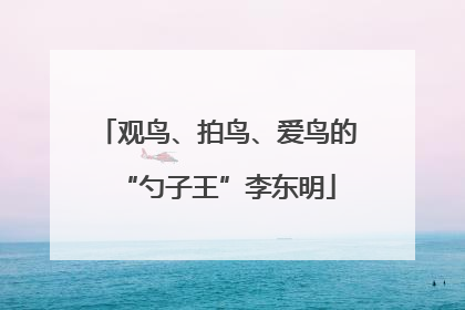 观鸟、拍鸟、爱鸟的“勺子王”李东明