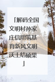 解码全国文明村孙家庄信用筑基育新风文明沃土结硕果