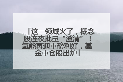 这一领域火了，概念股连夜批量“澄清”！氢能再迎重磅利好，基金重仓股出炉