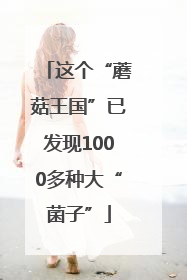 这个“蘑菇王国”已发现1000多种大“菌子”