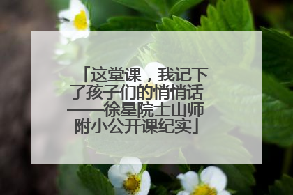 这堂课，我记下了孩子们的悄悄话——徐星院士山师附小公开课纪实