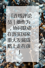 连线评论员｜敢作为，协同联动在落实国家重大发展战略上走在前