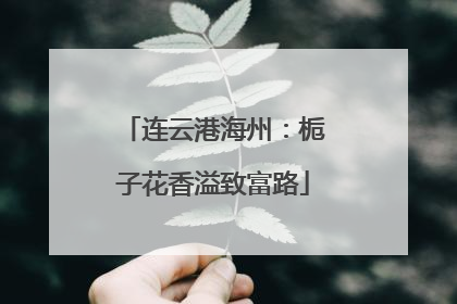连云港海州：栀子花香溢致富路