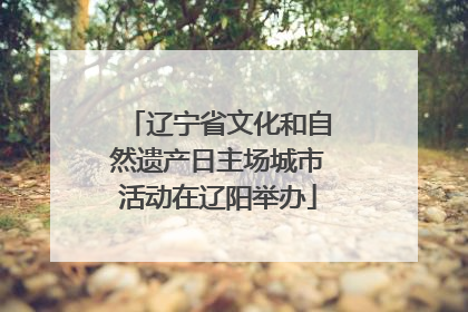 辽宁省文化和自然遗产日主场城市活动在辽阳举办