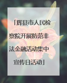 辉县市人民检察院开展防范非法金融活动集中宣传日活动