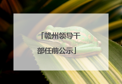赣州领导干部任前公示