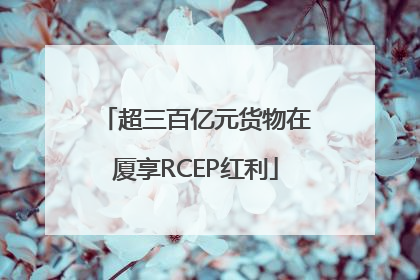 超三百亿元货物在厦享RCEP红利