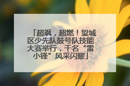 超飒，超燃！望城区少先队鼓号队技能大赛举行，千名“雷小锋”风采闪耀