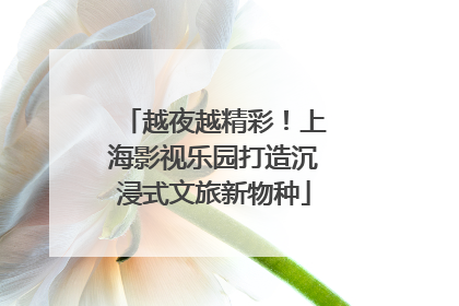越夜越精彩！上海影视乐园打造沉浸式文旅新物种