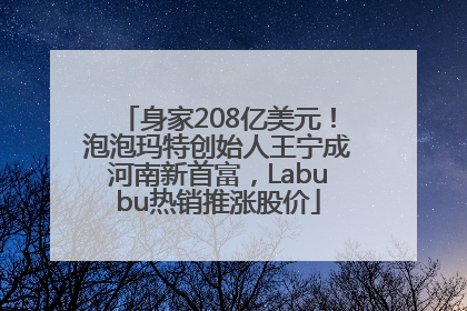身家208亿美元！泡泡玛特创始人王宁成河南新首富，Labubu热销推涨股价