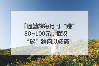 通勤族每月可“赚”80~100元，武汉“碳”路何以畅通