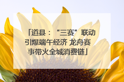 道县：“三赛”联动引爆端午经济 龙舟赛事带火全城消费链