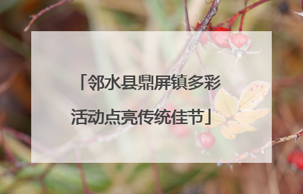 邻水县鼎屏镇多彩活动点亮传统佳节