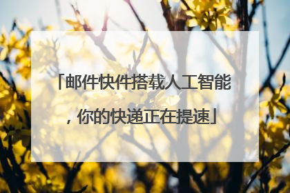邮件快件搭载人工智能，你的快递正在提速