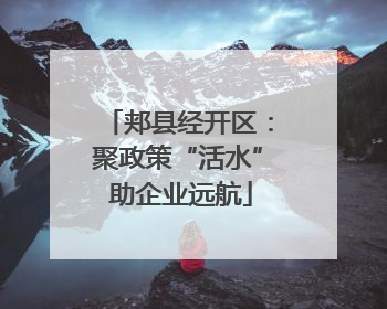 郏县经开区：聚政策“活水” 助企业远航