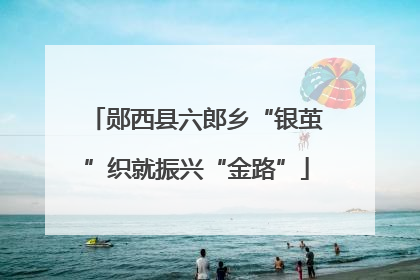 郧西县六郎乡“银茧”织就振兴“金路”