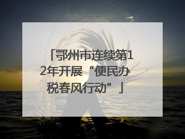 鄂州市连续第12年开展“便民办税春风行动”