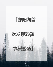 鄱阳湖首次发现彩鹮筑巢繁殖