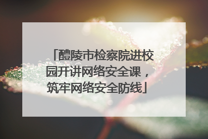 醴陵市检察院进校园开讲网络安全课，筑牢网络安全防线