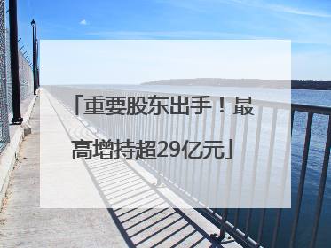 重要股东出手！最高增持超29亿元