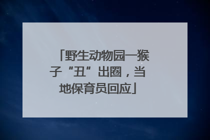 野生动物园一猴子“丑”出圈，当地保育员回应