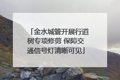 金水城管开展行道树专项修剪 保障交通信号灯清晰可见