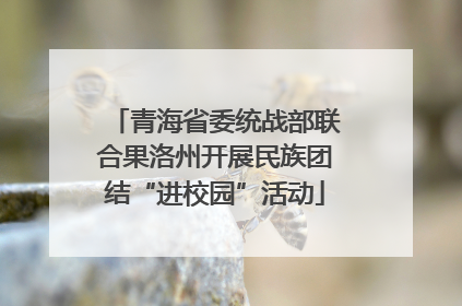 青海省委统战部联合果洛州开展民族团结“进校园”活动