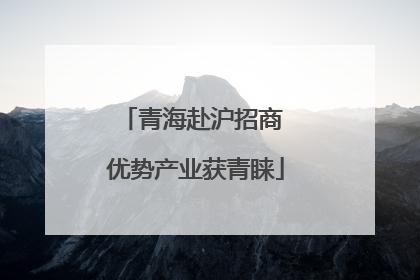 青海赴沪招商 优势产业获青睐