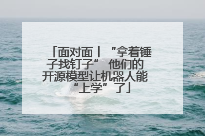 面对面丨“拿着锤子找钉子” 他们的开源模型让机器人能“上学”了