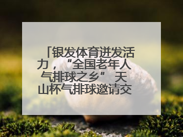 银发体育迸发活力，“全国老年人气排球之乡” 天山杯气排球邀请交流赛举行