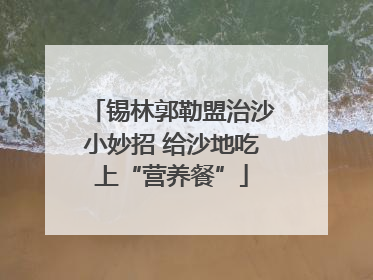 锡林郭勒盟治沙小妙招 给沙地吃上“营养餐”