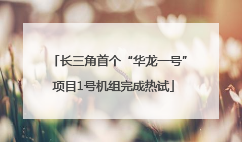 长三角首个“华龙一号”项目1号机组完成热试