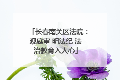 长春南关区法院：观庭审 明法纪 法治教育入人心