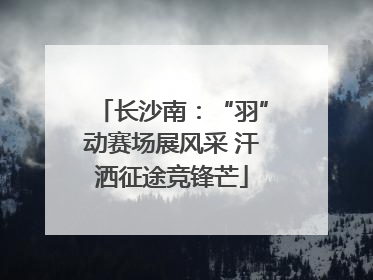 长沙南：“羽”动赛场展风采 汗洒征途竞锋芒