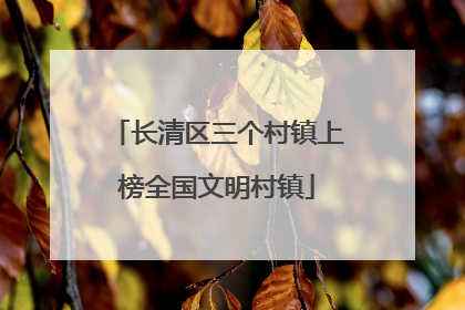 长清区三个村镇上榜全国文明村镇