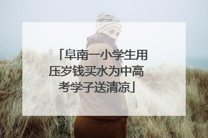 阜南一小学生用压岁钱买水为中高考学子送清凉