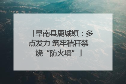 阜南县鹿城镇：多点发力 筑牢秸秆禁烧“防火墙”