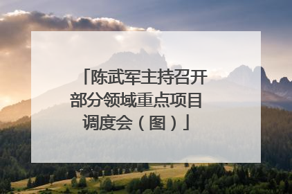 陈武军主持召开部分领域重点项目调度会（图）