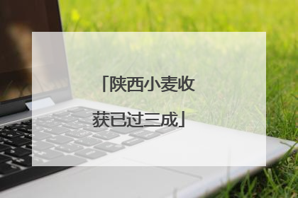 陕西小麦收获已过三成