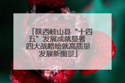 陕西岐山县“十四五”发展成就显著 四大战略绘就高质量发展新图景