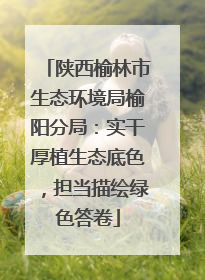 陕西榆林市生态环境局榆阳分局：实干厚植生态底色，担当描绘绿色答卷