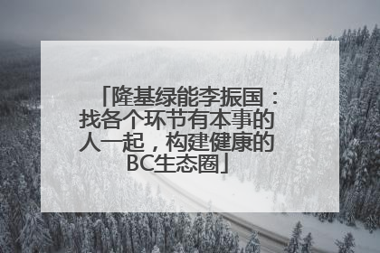 隆基绿能李振国：找各个环节有本事的人一起，构建健康的BC生态圈
