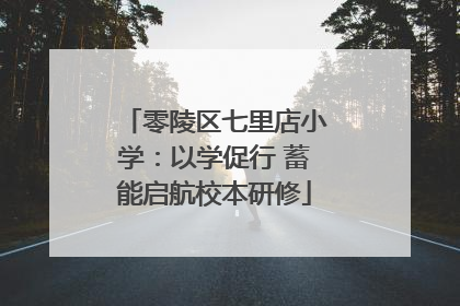 零陵区七里店小学：以学促行 蓄能启航校本研修