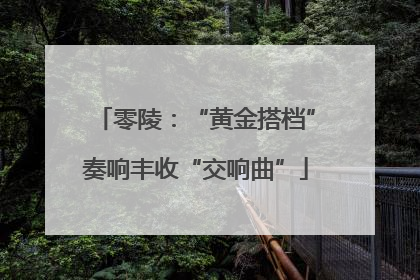 零陵：“黄金搭档”奏响丰收“交响曲”