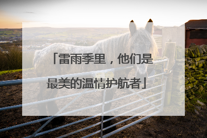 雷雨季里，他们是最美的温情护航者