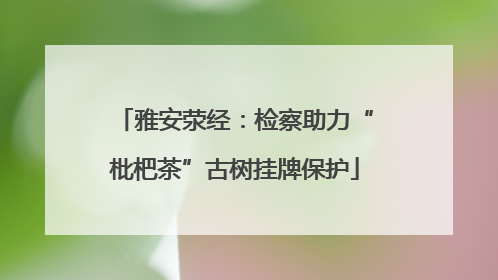 雅安荥经：检察助力“枇杷茶”古树挂牌保护