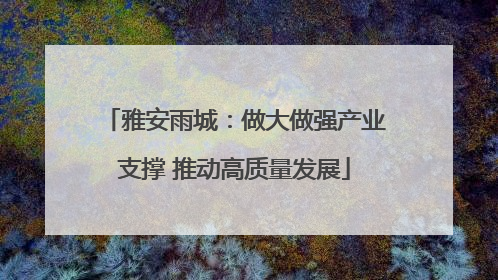 雅安雨城：做大做强产业支撑 推动高质量发展