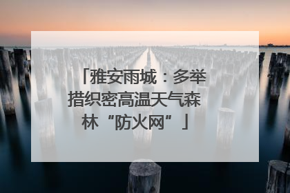 雅安雨城：多举措织密高温天气森林“防火网”